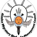 Circle with mask of person as part of a bird with feathers surrounding the mask