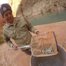 Biological Science Technician Jim Walters uses a net to capture and check on a group of young Humpback Chub in a barrel. The Little Colorado River and Canyon walls can be seen behind him.oung Humpback Chub