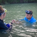 Researchers assemble a mussel silo