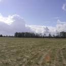 View of a grass seed field at Ankeny National Wildlife Refuge with blue skies and clouds overhead.