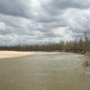 A line of trees surrounds a body of water.