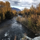 looking down stream at trees in fall colors and cloudy skies