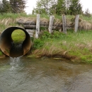 a round perched culvert pinching a creek