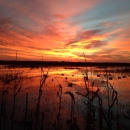 Sun peeks through orange and pink clouds over calm marsh.