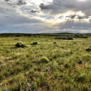 A grassy open field with sunlight breaking through the clouds.