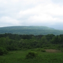 a view of a green, forested landscape with an overcast sky