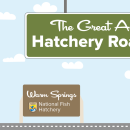 A graphic of a light blue sky with puffy clouds. A green highway sign hangs from the top and reads "The Great American Hatchery Road Trip." At the bottom, a fish drives a blue car along a road toward a brown sign with the USFWS logo and text that reads "Warm Springs National Fish Hatchery."