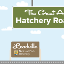 A graphic of a light blue sky with puffy clouds. A green highway sign hangs from the top and reads "The Great American Hatchery Road Trip." At the bottom, a fish drives a blue car along a road toward a brown sign with the USFWS logo and text that reads "Leadville National Fish Hatchery."