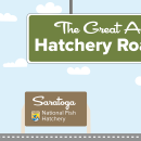 A graphic of a light blue sky with puffy clouds. A green highway sign hangs from the top and reads "The Great American Hatchery Road Trip." At the bottom, a fish drives a blue car along a road toward a brown sign with the USFWS logo and text that reads "Saratoga National Fish Hatchery."