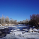 frozen chunks of ice floating on a river flowing between trees