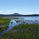 Looking across a wet prairie, filled with water, toward mountains in distance