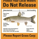 image of a fish on a sign