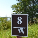 Photo of a brown and white sign with the number 8 and the refuge system blue goose symbol, with shrubs, trees, and the Blackwater River in the background.