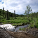 A new culvert extends beneath a road in Wasila, AK, to improve fish passage for salmon.