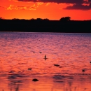 beautiful orange and pink sky at sunset reflects on a lake