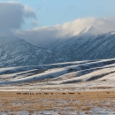 herd elk in the far distance with snow covered hills and tallk mountains behind them