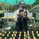 Guam NWR volunteer labeling planted seeds at the plant nursery