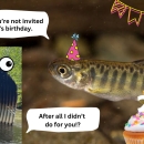 a fish with a birthday hat next to a cupcake. The text says "sorry, you're not invited to BIL's birthday". A culvert with eyes is saying "after all I didn't do for you?!"