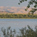 Two distant pelicans in the center of a lake with small mountain formations in the background