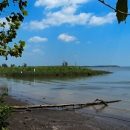A view of the Occoquan River at Featherstone NWR