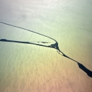 Dungeness Spit Aerial View