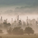 Mist rising over the valley