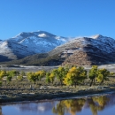 Trees line a river with snow-capped mountains in the distance