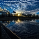 Bird of prey flying over Red tail lake at sunset