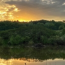 This is the homepage banner photo for Great Bay National Wildlife Refuge