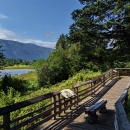 Looking west from the far end of the Franz Lake overlook with green vegetation, views of the lake and Oregon across the Columbia river in the background.