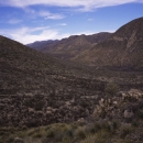 mountain desert landscape speckled with green vegetation