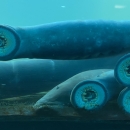 A view through glass of four long fish in blue water with their mouths suctioned onto the glass and showing their round, jawless mouths with rows of teeth.