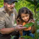 A U.S. Fish and Wildlife Service employee points out a monarch caterpillar on a milkweed plant to a girl