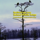 An image of the cover for the comprehensive conservation plan.