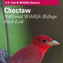 An image of the cover for the bird brochure.