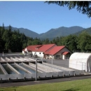 An image of Quilcene National Fish Hatchery in Quilcene, Washington