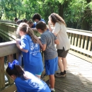 Photograph of Junior Ranger Camp Students looking over the Boardwalk at Cypress Trail.