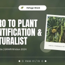 Front cover of the presentation