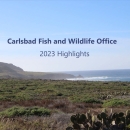 Carlsbad 2023 annual report cover