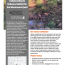 first page of handout