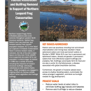 first page of handout