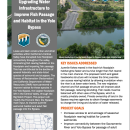 first page of handout