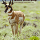 Sheldon National Wildlife Refuge Comprehensive Conservation Plan