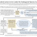 Federal action review under the Endangered Species Act