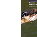 Kootenai NWR Comprehensive Conservation Plan (CCP)