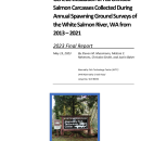 Genetic Evaluation of Fall Chinook Salmon Carcasses Collected During Annual Spawning Ground Surveys of the White Salmon River, WA from 2013–2021