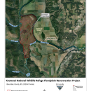 Kootenai National Wildlife Refuge Floodplain Reconnection Project