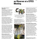 How to Become a CITES Observer