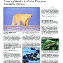 Marine Mammal Program Fact Sheet 2024