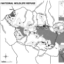 Blackwater NWR Deer Hunt Map 2024-25